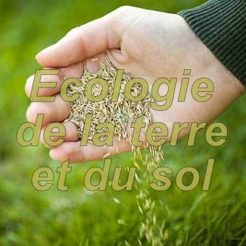 ecologie-du-sol