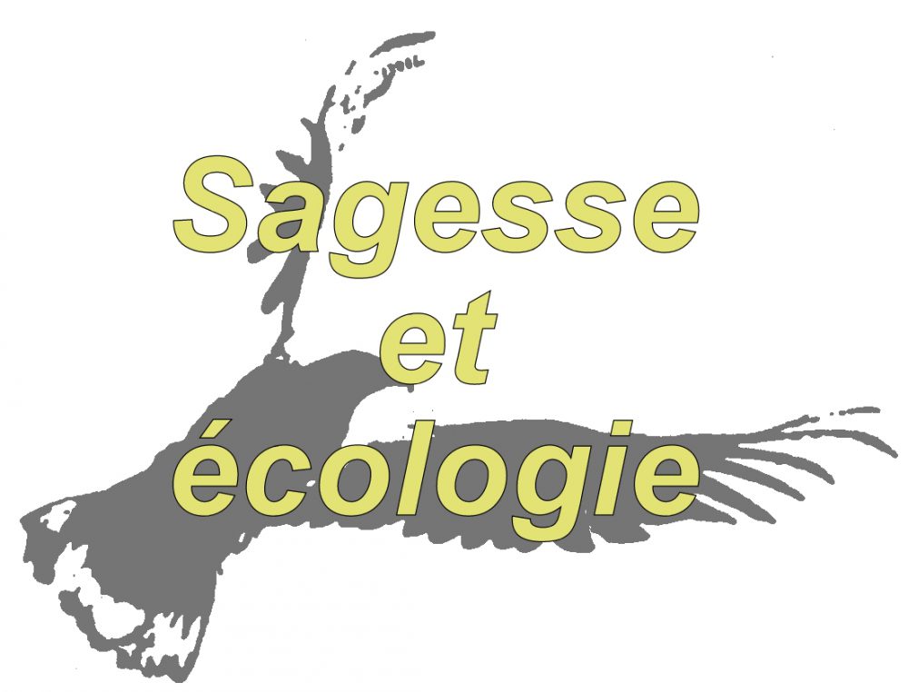 Education à l'écologie intégrale - Page 6 Aigle-grand-002-1000x762